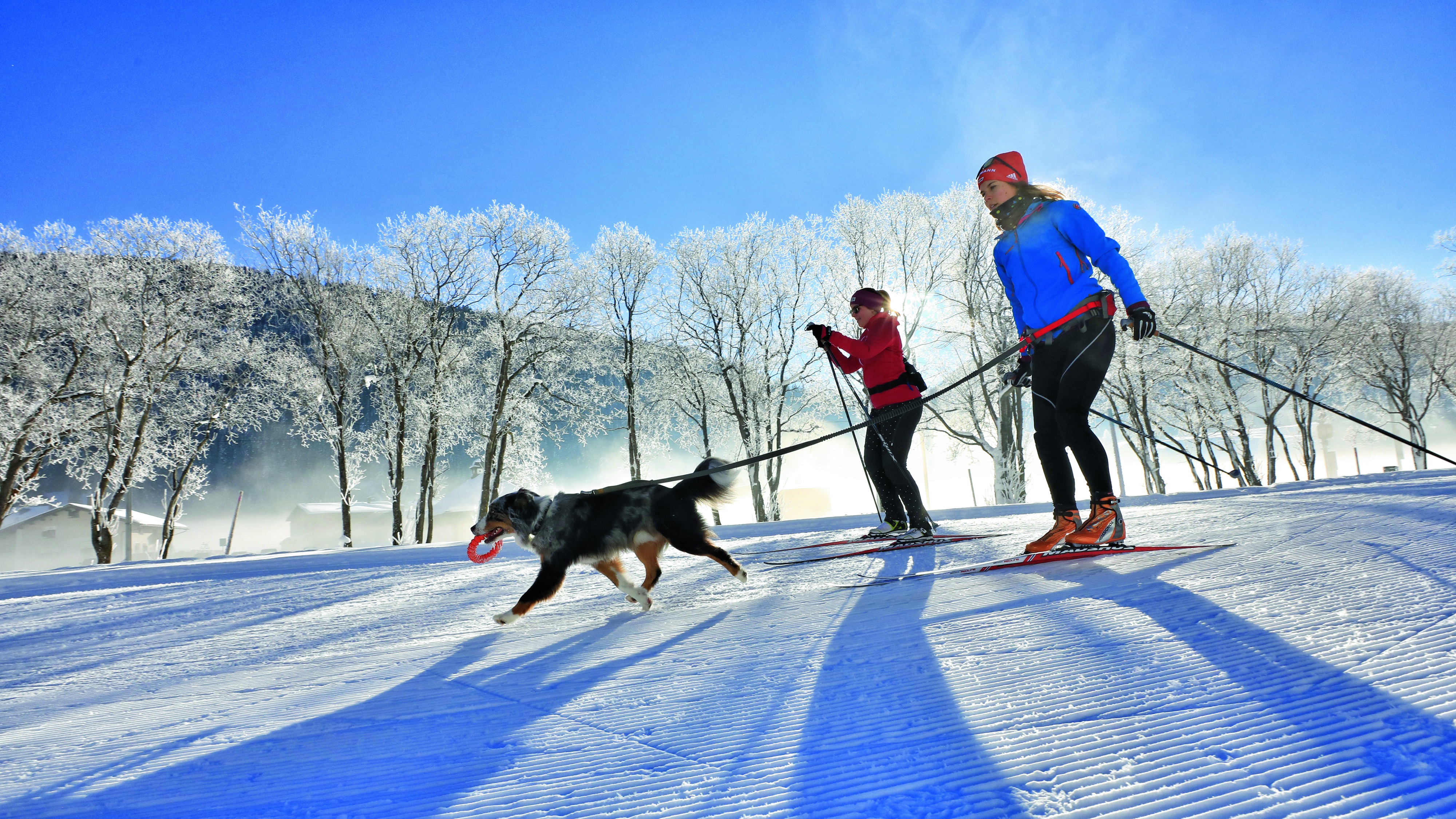 Hundefreundliche Ferienwohnungen in Davos.